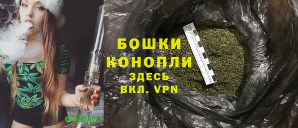 гидропоника Богданович